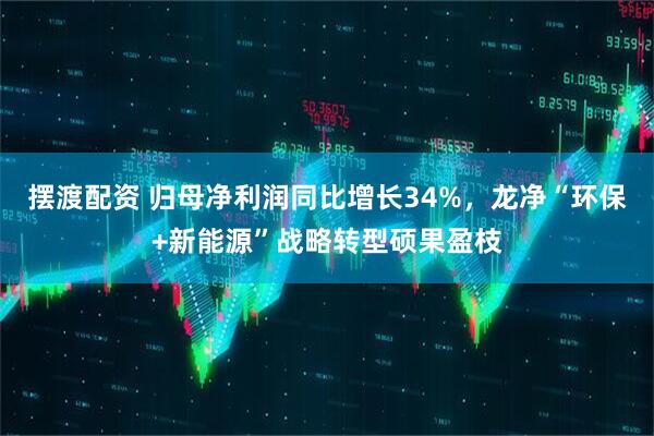 摆渡配资 归母净利润同比增长34%，龙净“环保+新能源”战略转型硕果盈枝